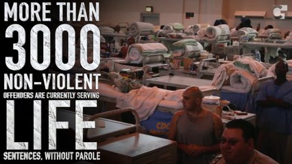 Consider This: Drug War and Non-violent Offenders