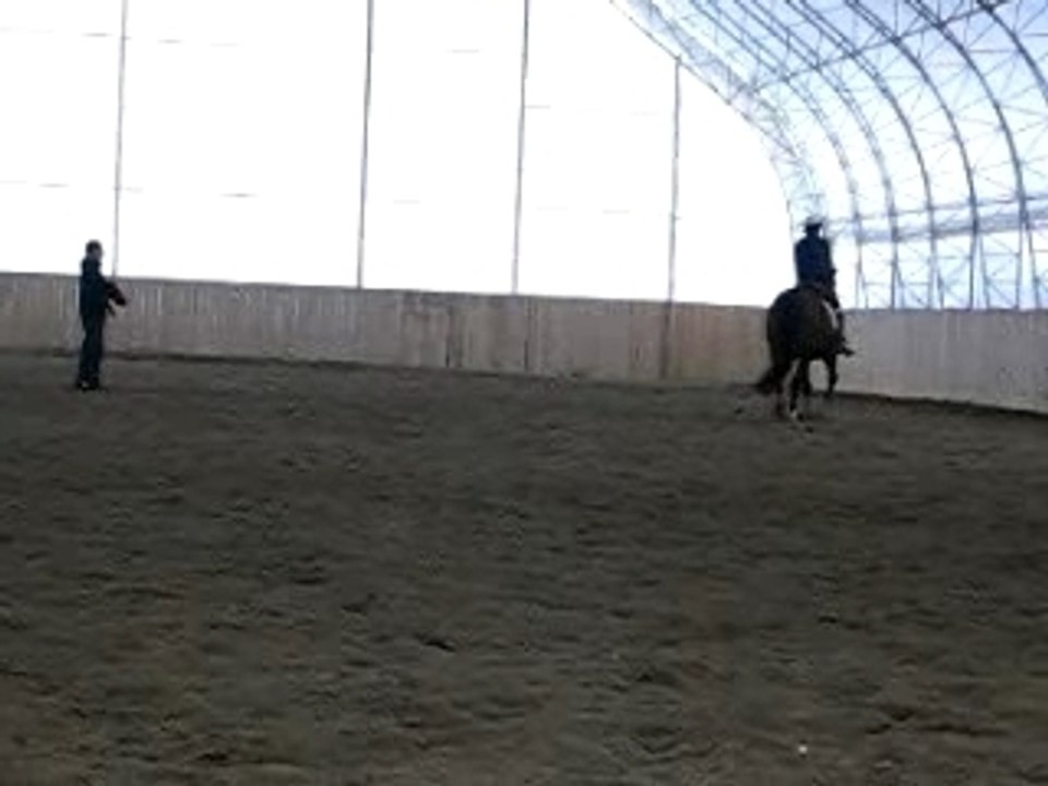 Violaine et Mlle. Margot - Trot Moyen