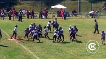 2 Undefeated 10u Teams Baldwin County Bulldogs & Midway Wildcats