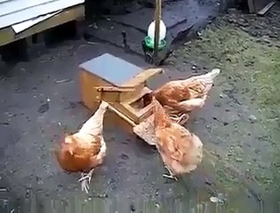 ایسا بھی دیکھا ہے کبھی