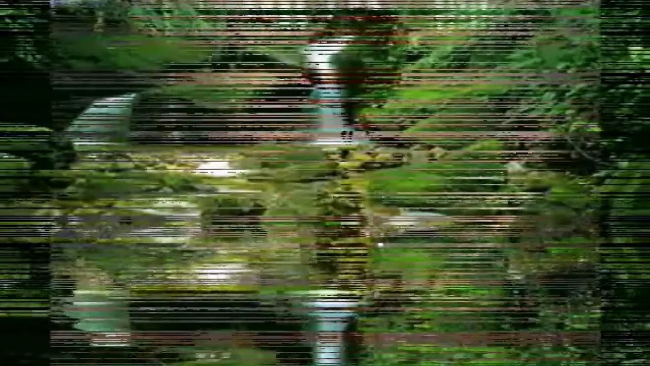 NINO BRAVO...Cartas amarillas.