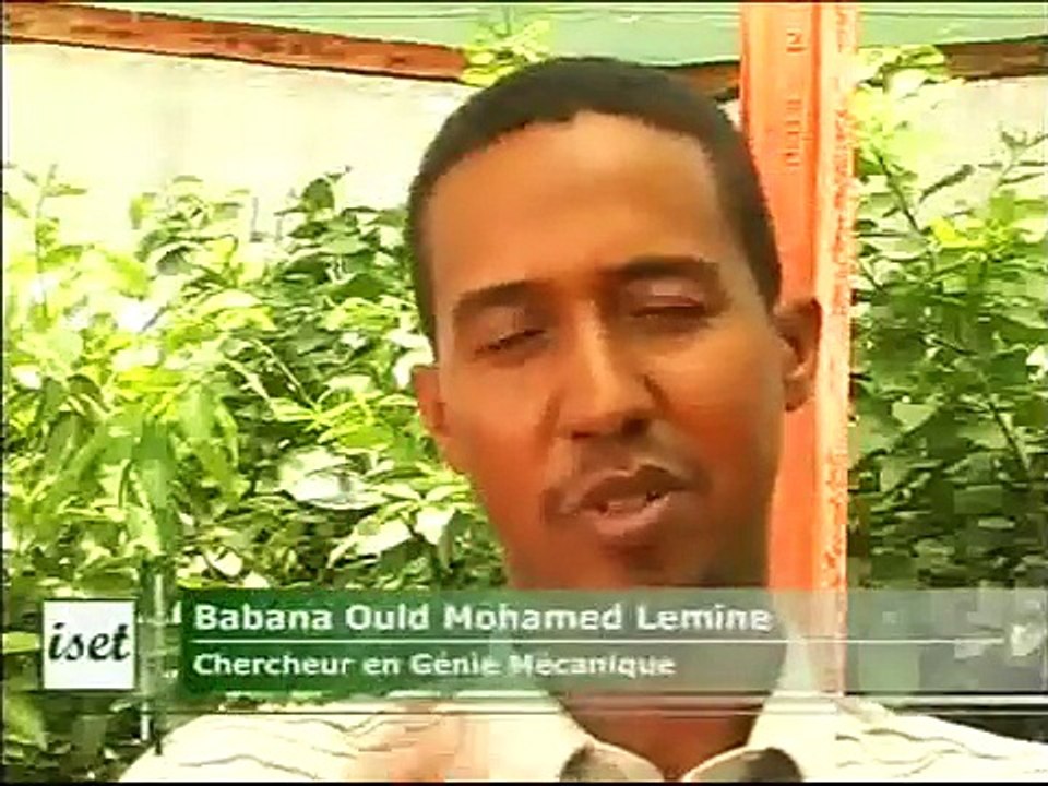 le charbon de typha.wmv