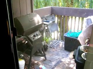 Mama raccoon & baby moving out of my balcony