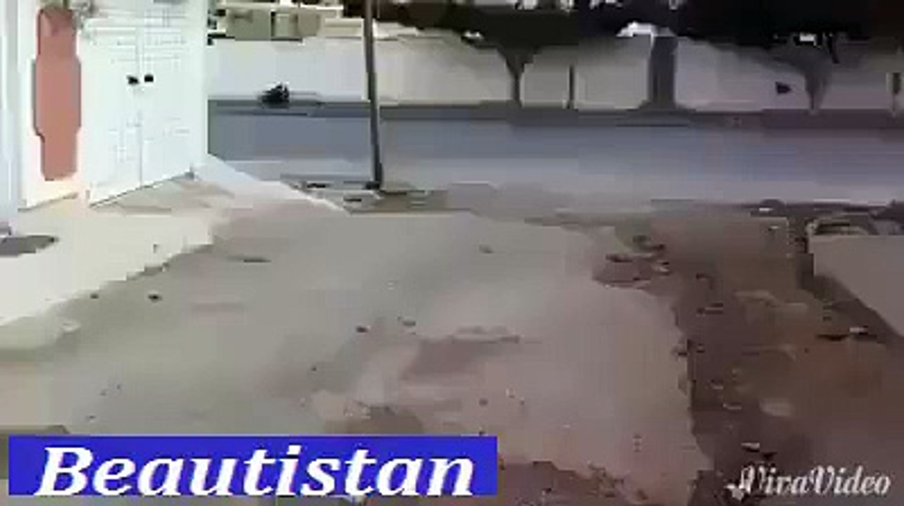 plen accident