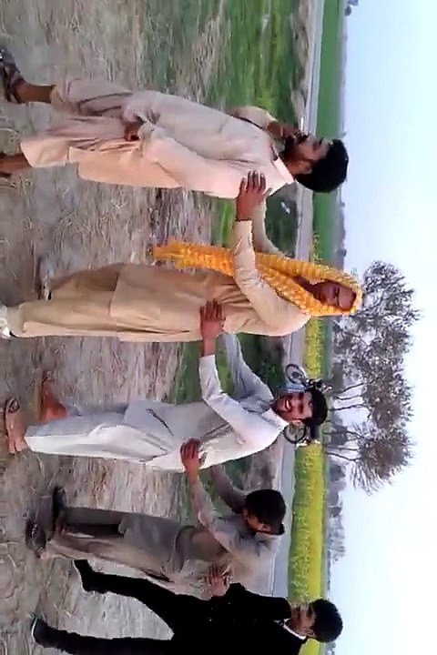 funny vedio