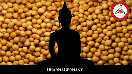 Was ist Buddhismus - Die Geschichte von Gotami und dem Senfkorn