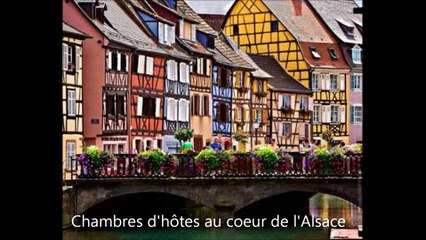 Colibris Vacances-b&b-Alsace-552