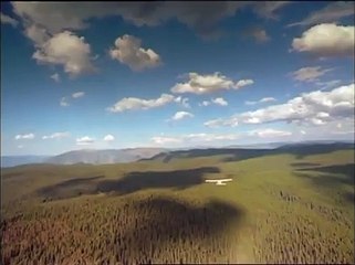 DVD - LES LOUPS - CROYANCE ET FASCINATION