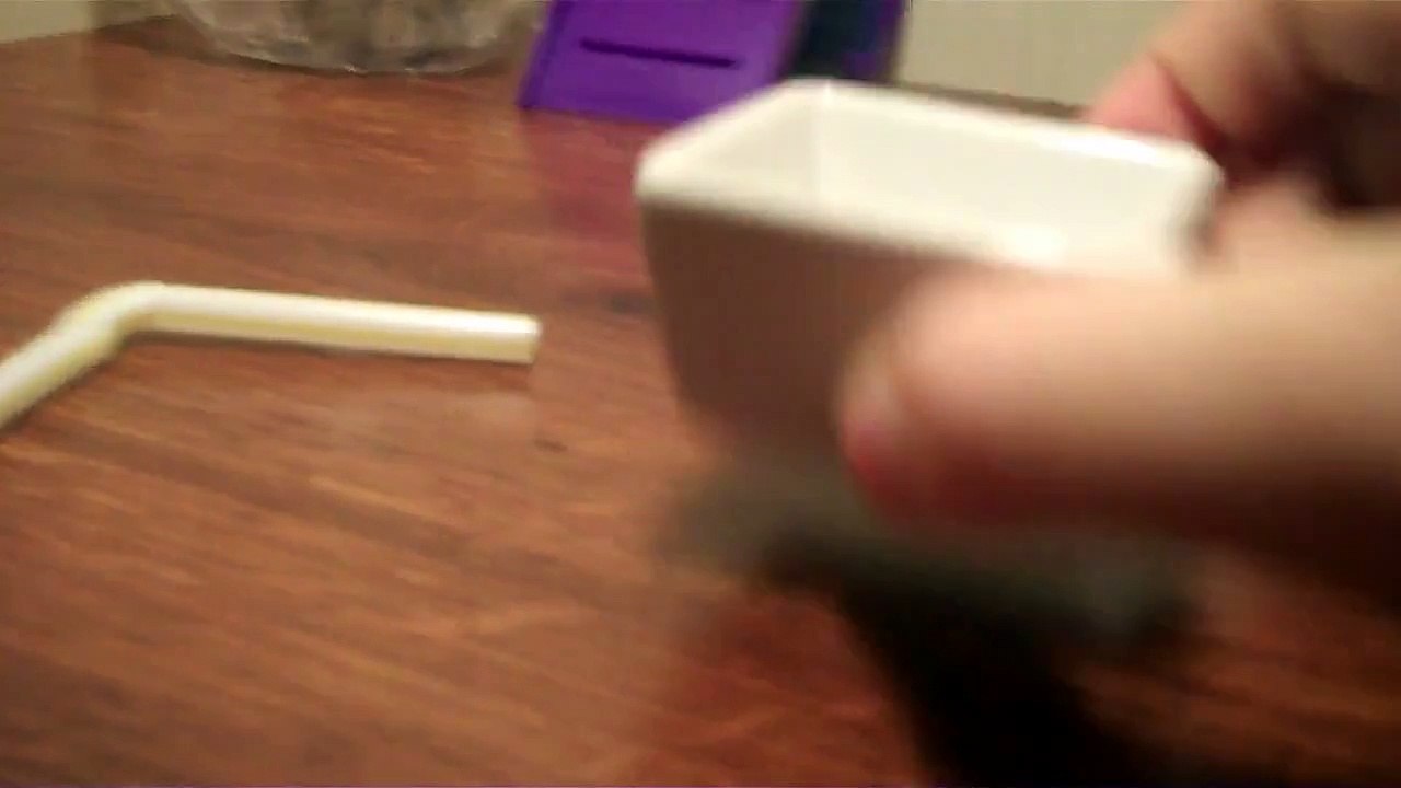 What to do if you don't have a water bottle for your hamster