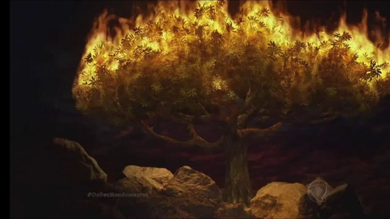 vfx | moises | sarda ardente