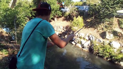 peche du chevesne au woodlouse illex et a la mouche