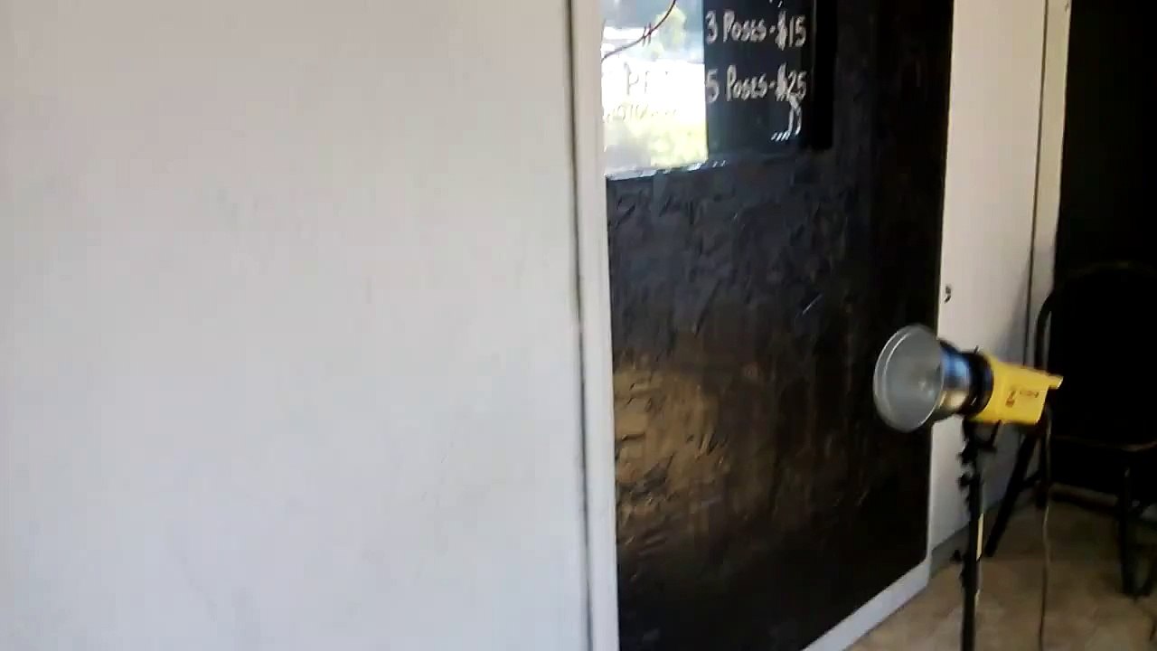 American Bully 101 - Major League Feed Store open to the public