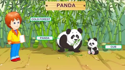 ABC Song For kids   ABC song Wild Animals for children   Baby song and Nursery Rhymes