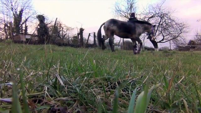 Concours d'équifeel du 1er Mars ♥