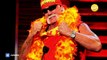 Hulk Hogan was fired from WWE because his racists comments