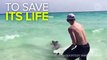 Beachgoers Save A Shark's Life With Their Bare Hands