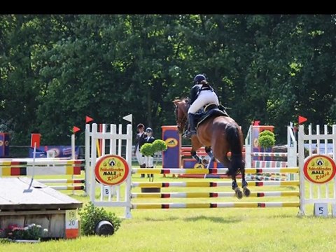 Er ist mehr als nur ein Pferd, denn er ist mein bester Freund!