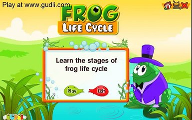 Learn about The Frog Life Cycle Game44