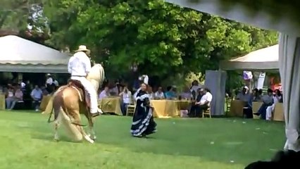 HMH MANJAR BLANCO.mp4 - CABAÑA HERRADURA- SAN IGNACIO DE VELASCO - BOLIVIA