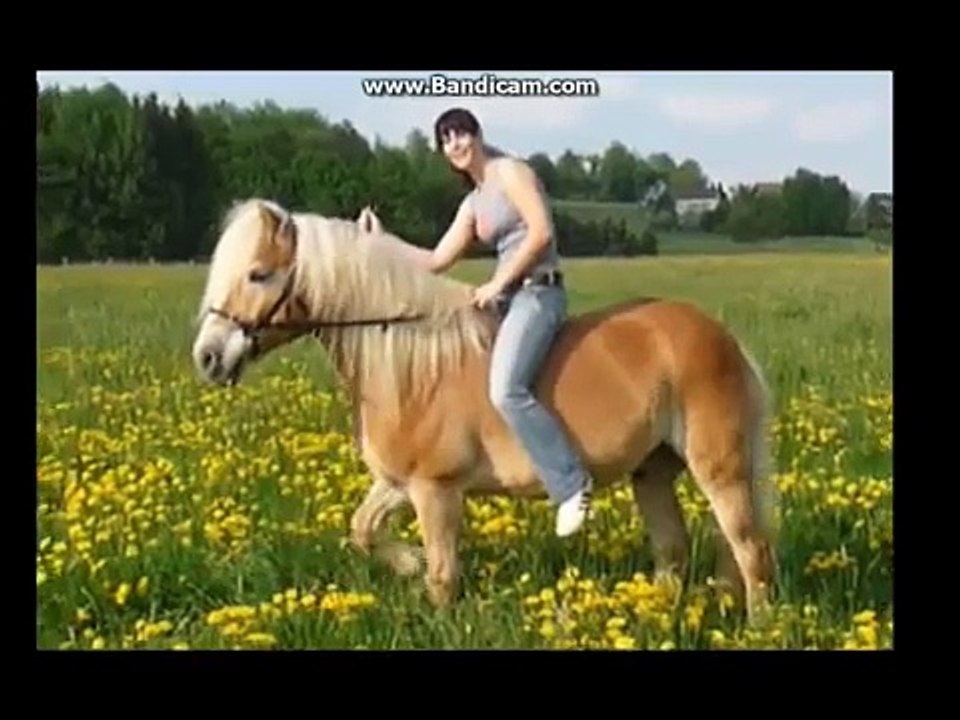 Love the way you lie - Horses