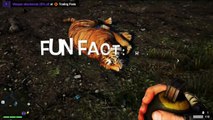 FarCry 4 Funny Moments! (C4 Trolling, Wingsuits, & Elephants)