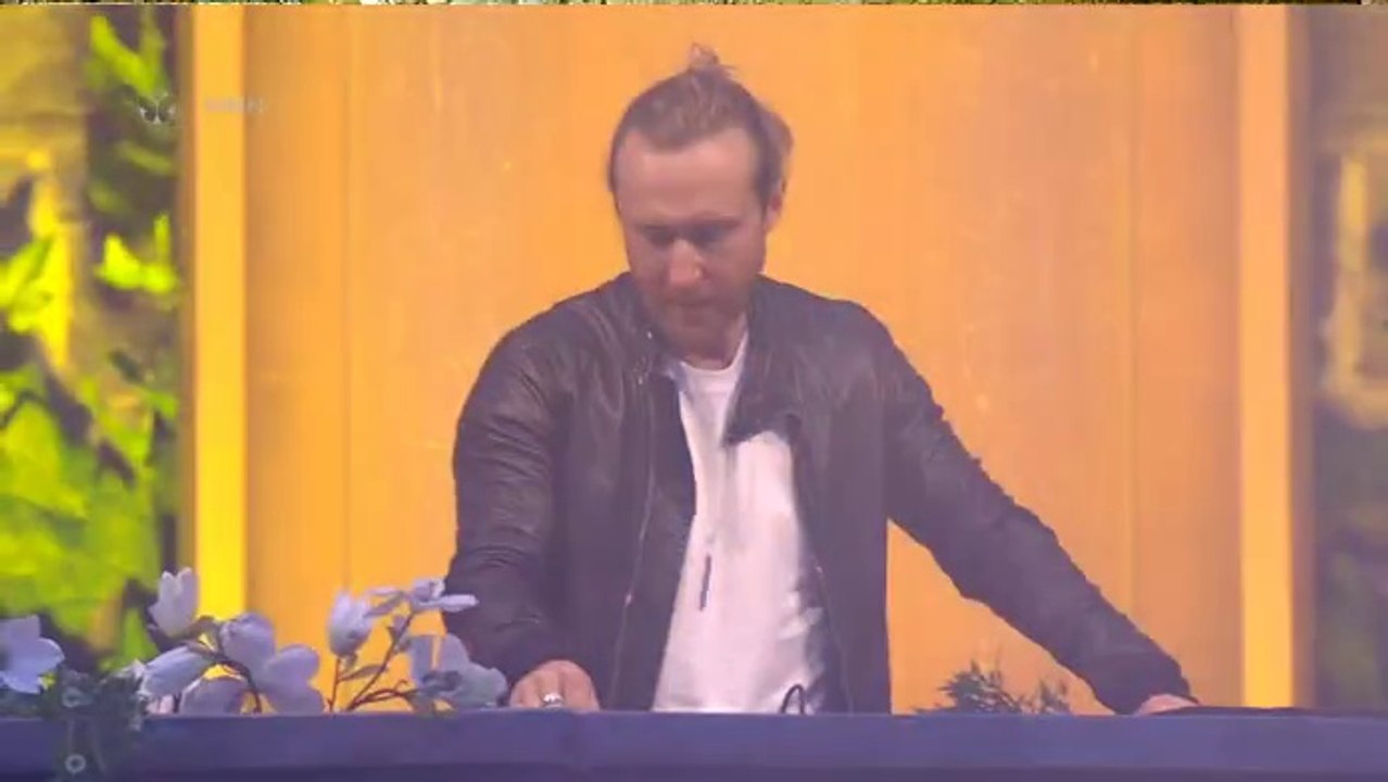 David Guetta Live at Tomorrowland 2015 Belgium
