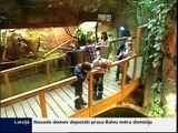 Rīgas Zoo sācies tropu mēnesis