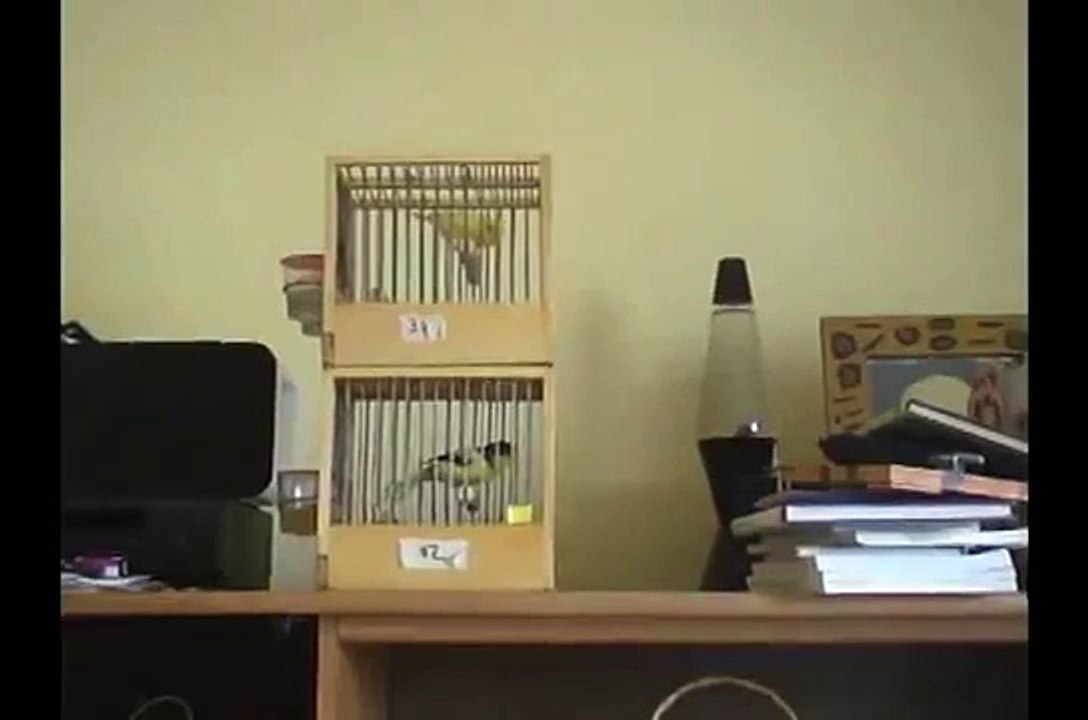 Anilla 34 2007  Ernesto Ramos Spanish Timbrado