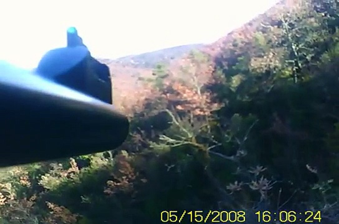 chasse au sanglier en ardeche