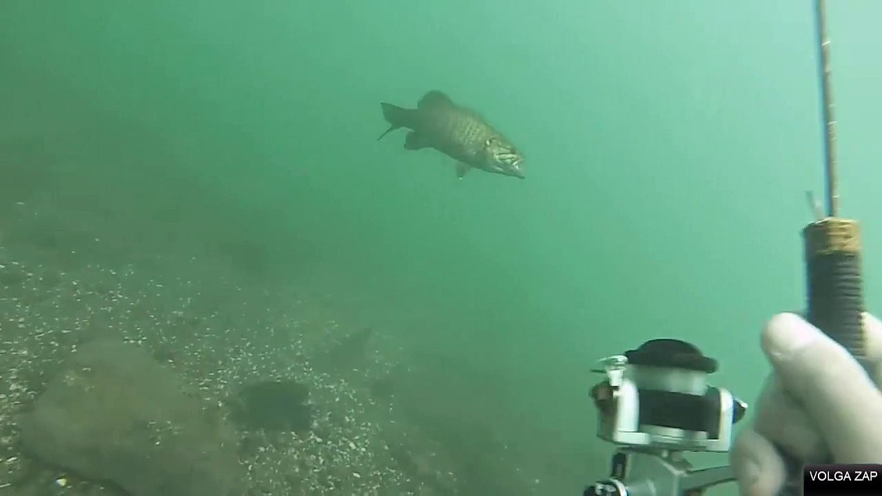 un pêcheur sous l'eau pêche un poisson avec une canne à pêche