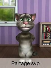 lazybox me Tom  le Chat parle de lAlgerie