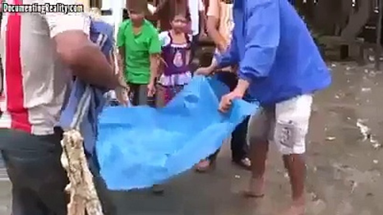 video-1437771043.mp4