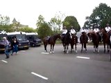 Politie paarden voor 20 Sept '09