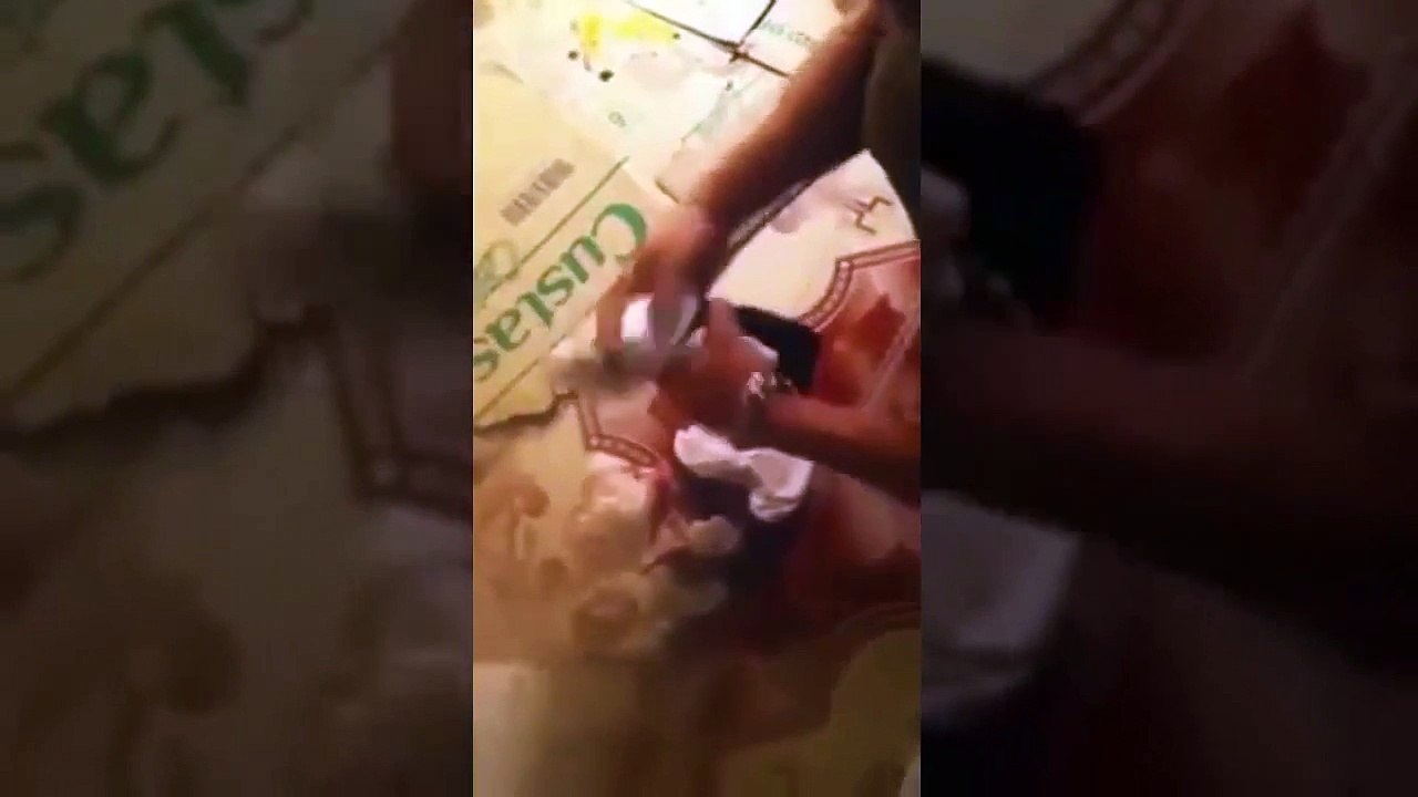 Dystocia (Difficulty Giving Birth) in Dog - Pet Education