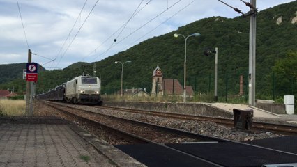 Train Gefco assuré par la E 37516 Europorte