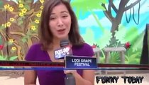 Funny Videos : Funniest News Bloopers Laughing Moments - Try not to laugh 2015