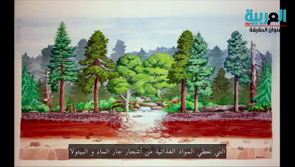 الفطريات الحل الامثل لانقاذ الارض