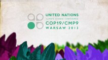 UN Climate Conference - Warsaw, 20 November 2013 - Bas Eickhout