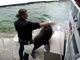 Sea Lions Show at Ocean World, Crescent City, California