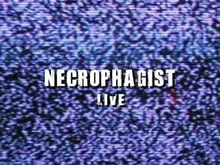 Necrophagist-Stabwound(Radio Disney Version)