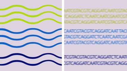 See what you've been missing: Explore RNA-Seq for Gene Expression research