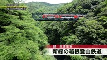 新緑の箱根登山鉄道