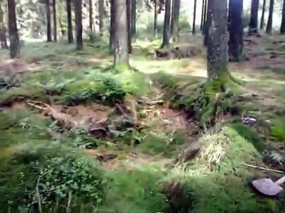 Metal Detecting WW2 ,Grenade Day ,Battle of the Bulge , Ardennes Offensive