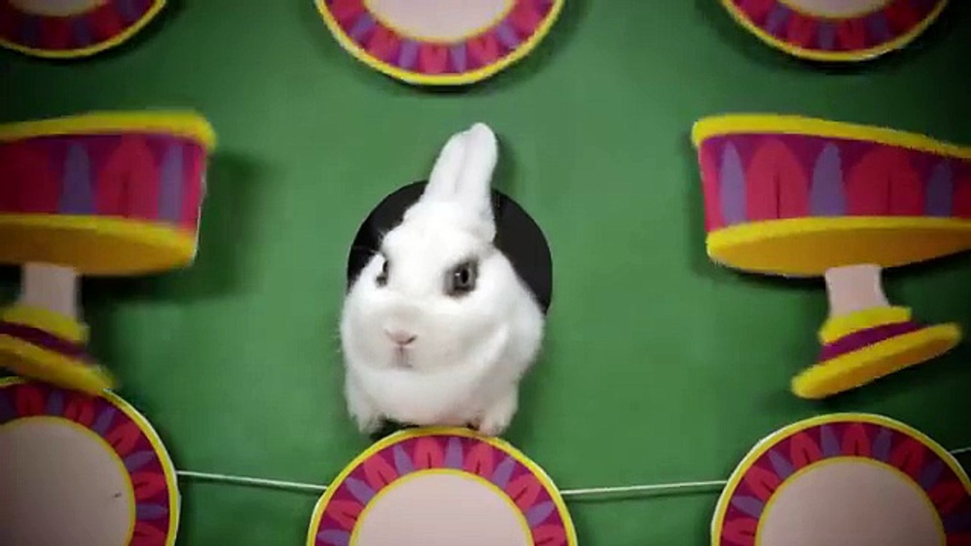 ⁣Disney World - Disney Bunny Theater   Oh My Disney