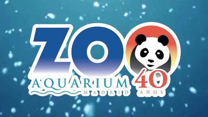 Desde el Aquarium del Zoo de Madrid os deseamos Feliz Navidad
