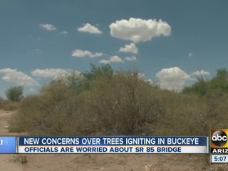 New concerns over trees igniting in Buckeye