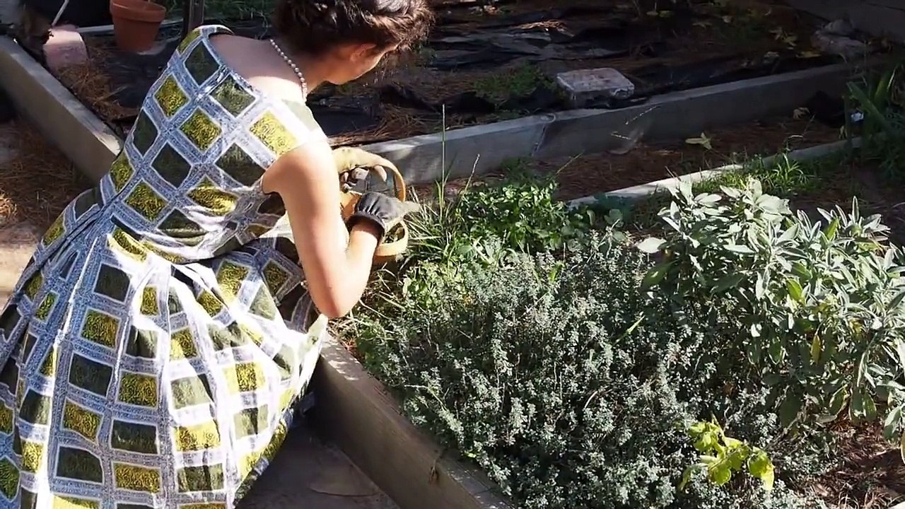 How to fit in as a 1950s Housewife