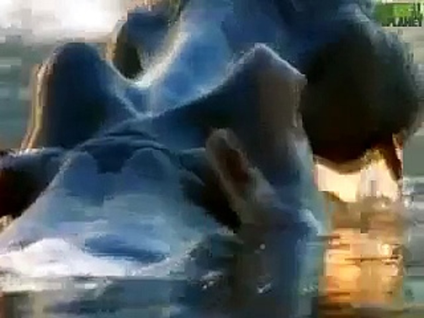 ⁣Animal Planet   Animal Face Off Hippo vs  Bull Shark