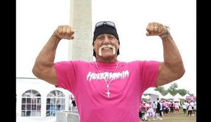 WWE Fires Hulk Hogan for Rasicsts Comments