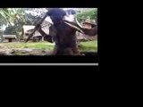 papua new guinea - PNG  - video - warriors headshunters